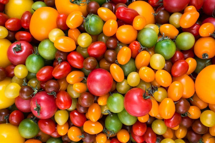 tomato